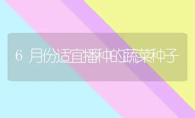 凤仙花的栽培及控制花期 | 植物科普