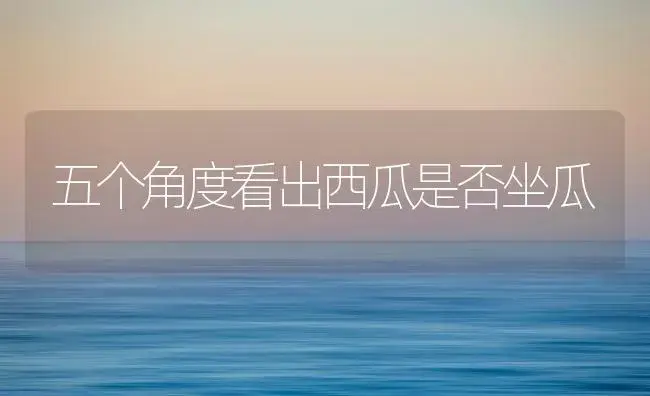 如何能消除杨梅大小年 | 植物百科