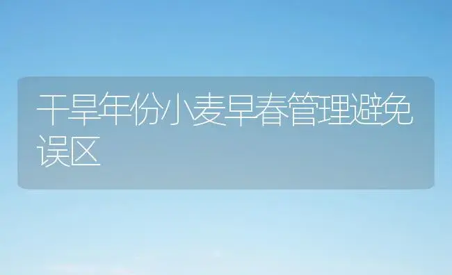 干旱年份小麦早春管理避免误区 | 植物科普