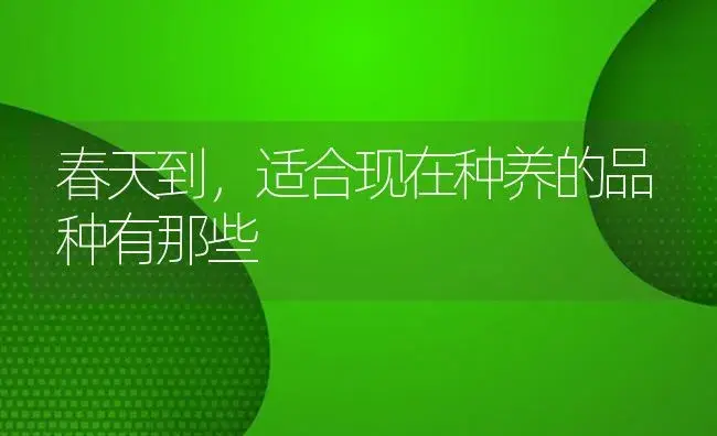 春天到，适合现在种养的品种有那些 | 植物知识