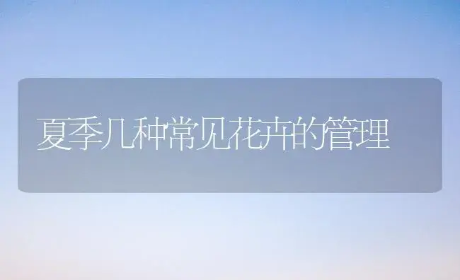 夏季几种常见花卉的管理 | 植物知识