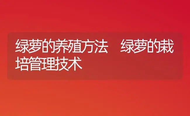 绿萝的养殖方法 绿萝的栽培管理技术 | 植物知识
