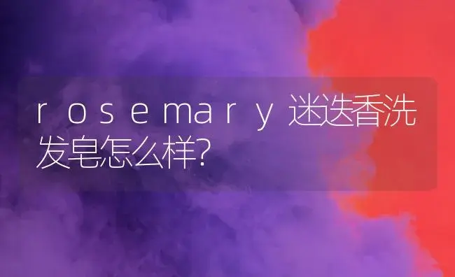 rosemary迷迭香洗发皂怎么样？ | 植物问答