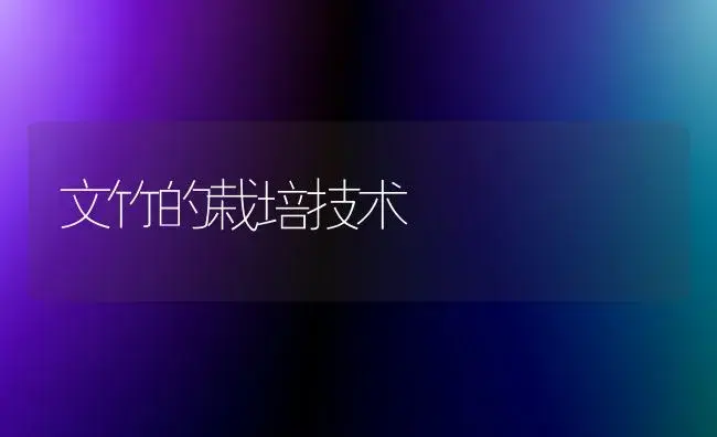 文竹的栽培技术 | 植物科普