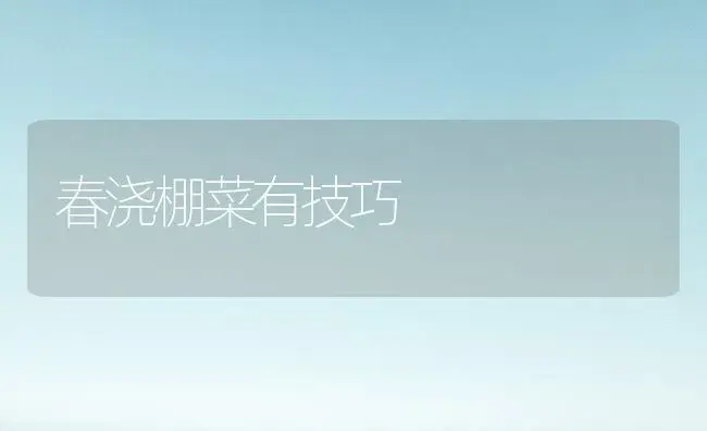 春浇棚菜有技巧 | 植物百科