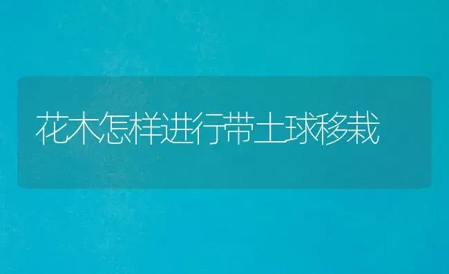 花木怎样进行带土球移栽 | 植物知识