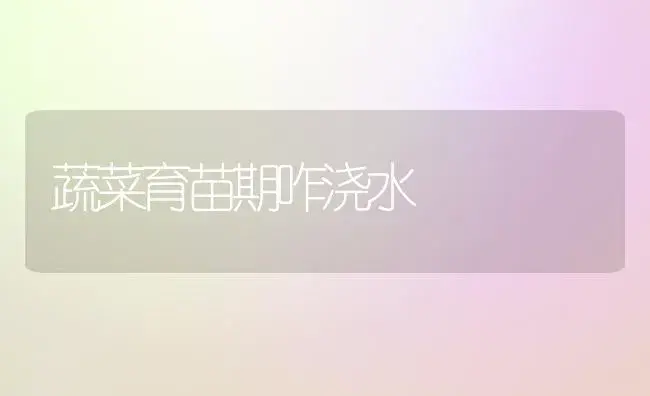 蔬菜育苗期咋浇水 | 植物科普