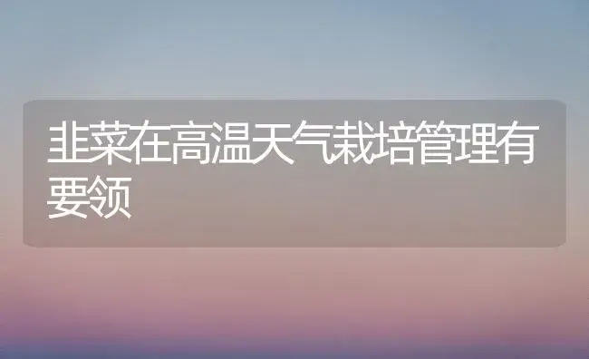 韭菜在高温天气栽培管理有要领 | 植物科普