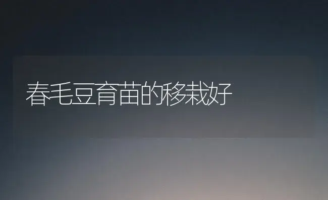 春毛豆育苗的移栽好 | 植物科普