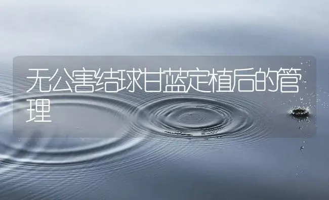 早晚棚西瓜高产高效需技巧 | 植物百科