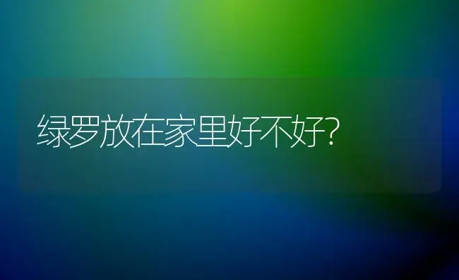 绿罗放在家里好不好？ | 植物问答