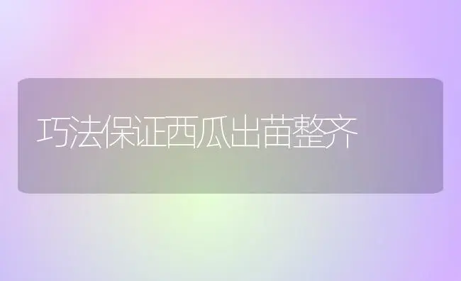 巧法保证西瓜出苗整齐 | 植物科普
