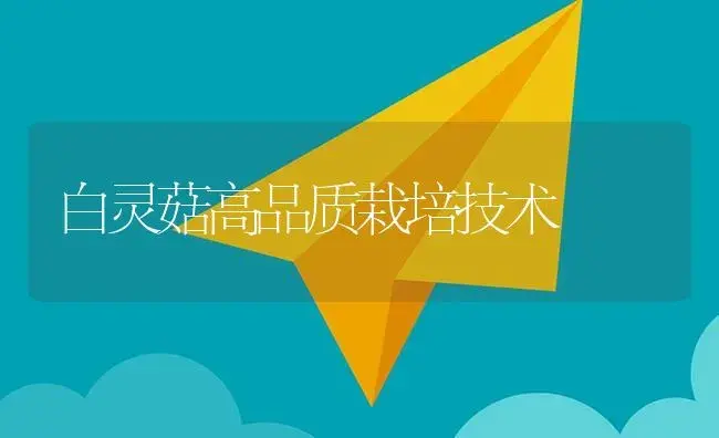 白灵菇高品质栽培技术 | 植物资料