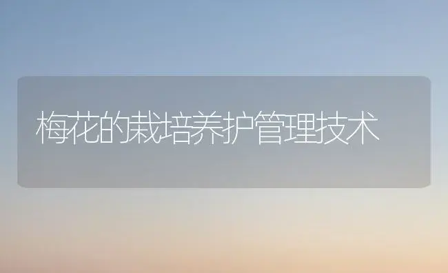 梅花的栽培养护管理技术 | 植物科普