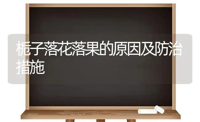 栀子落花落果的原因及防治措施 | 植物科普