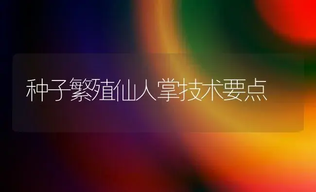 种子繁殖仙人掌技术要点 | 植物科普
