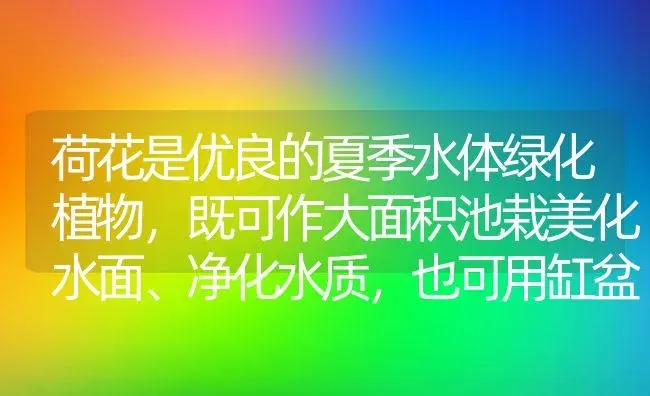 荷花是优良的夏季水体绿化植物，既可作大面积池栽美化水面、净化水质，也可用缸盆栽植，摆放于庭院、亭榭等处装饰环境，更可以用碗栽植点缀家居。 | 植物知识