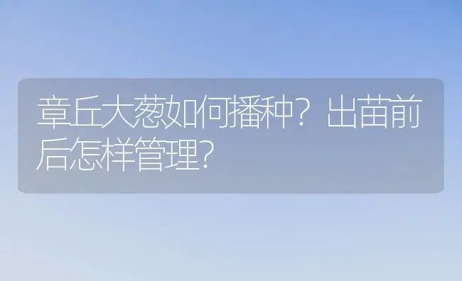 章丘大葱如何播种？出苗前后怎样管理？ | 植物科普