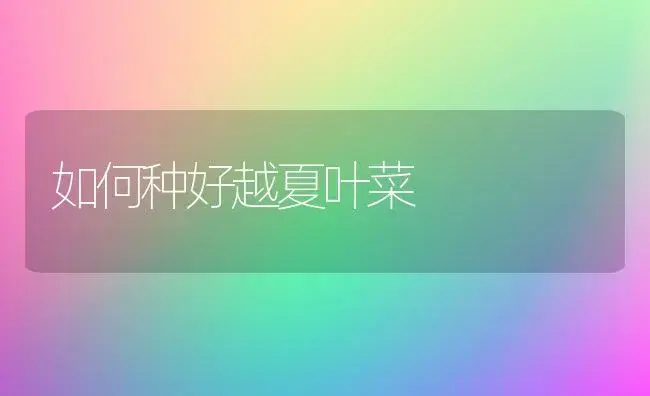 小型西瓜冬春设施立体栽培技术 | 植物百科