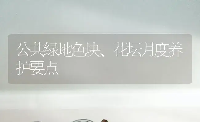 公共绿地色块、花坛月度养护要点 | 植物科普