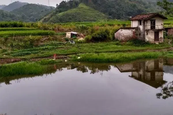 建鱼塘有补贴吗