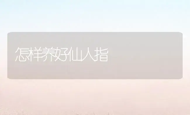怎样养好仙人指 | 植物知识