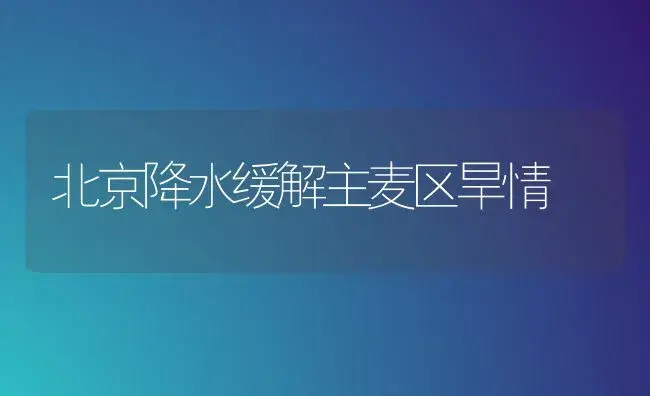 北京降水缓解主麦区旱情 | 植物科普