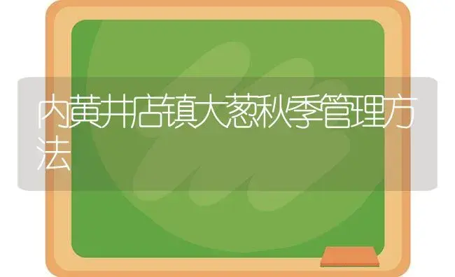 内黄井店镇大葱秋季管理方法 | 植物科普