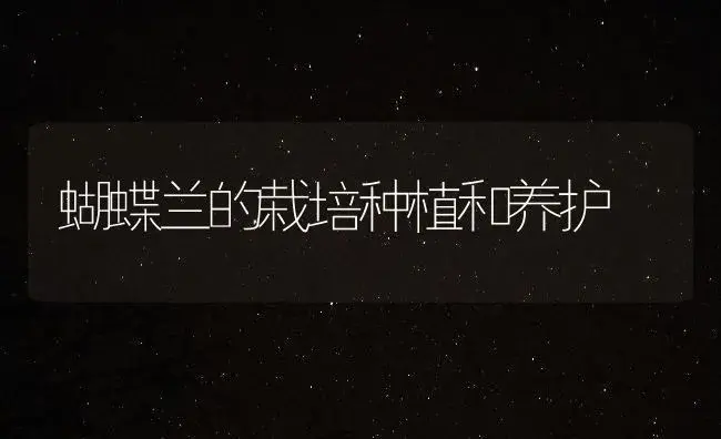 蝴蝶兰的栽培种植和养护 | 植物知识
