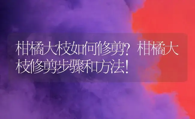 柑橘大枝如何修剪？柑橘大枝修剪步骤和方法！ | 植物百科