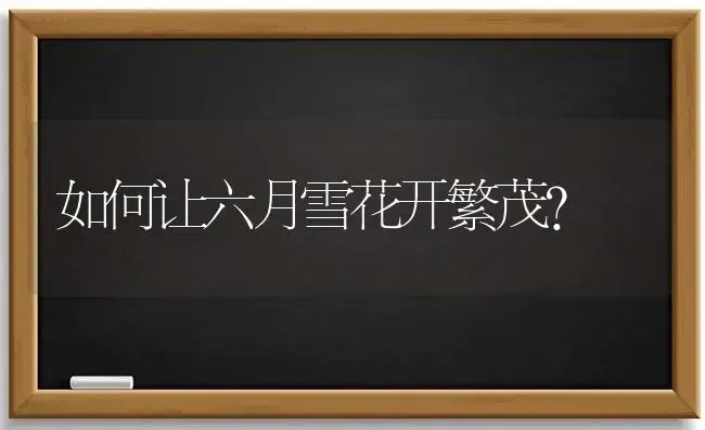 如何让六月雪花开繁茂? | 植物科普