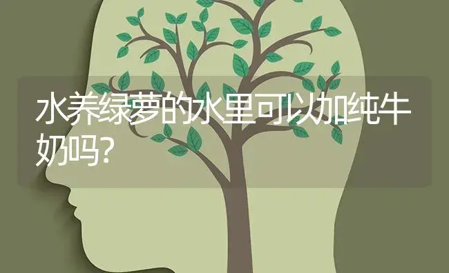 水养绿萝的水里可以加纯牛奶吗？ | 植物问答