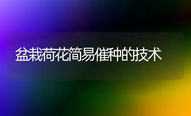 盆栽荷花简易催种的技术 | 植物科普