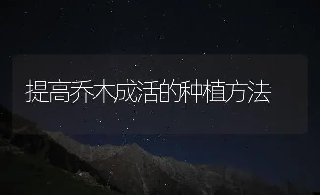 提高乔木成活的种植方法 | 植物知识