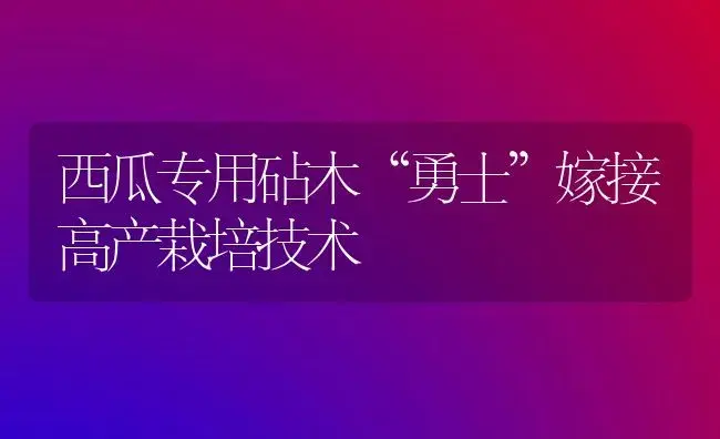 西瓜专用砧木“勇士”嫁接高产栽培技术 | 植物科普