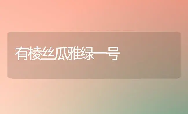 有棱丝瓜雅绿一号 | 植物百科
