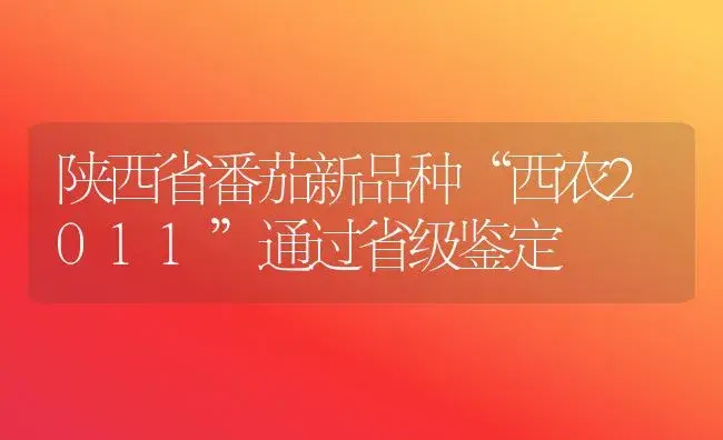 陕西省番茄新品种“西农2011”通过省级鉴定 | 植物科普