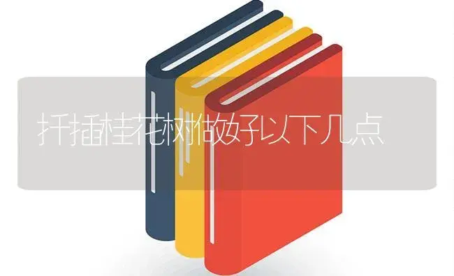 扦插桂花树做好以下几点 | 植物知识