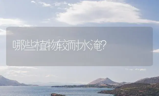哪些植物较耐水淹？ | 植物知识