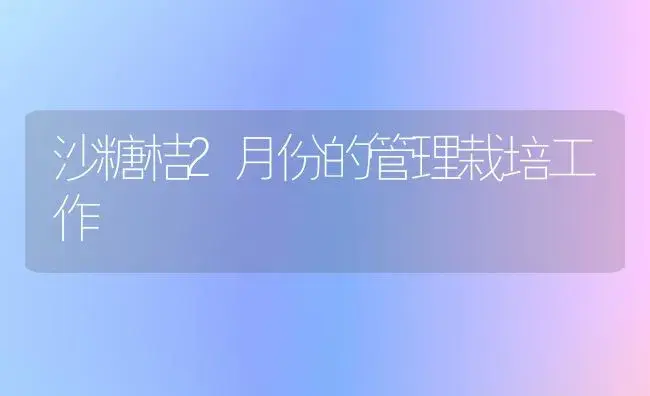 沙糖桔2月份的管理栽培工作 | 植物百科