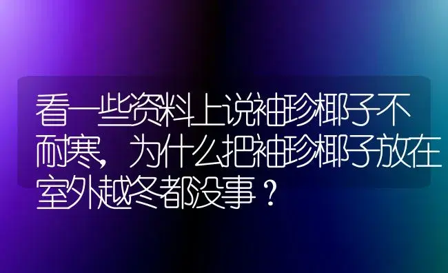 看一些资料上说袖珍椰子不耐寒，为什么把袖珍椰子放在室外越冬都没事？ | 植物问答