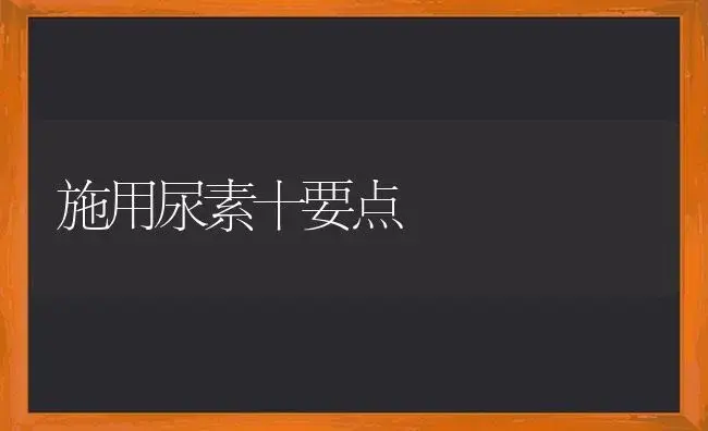 施用尿素十要点 | 植物科普