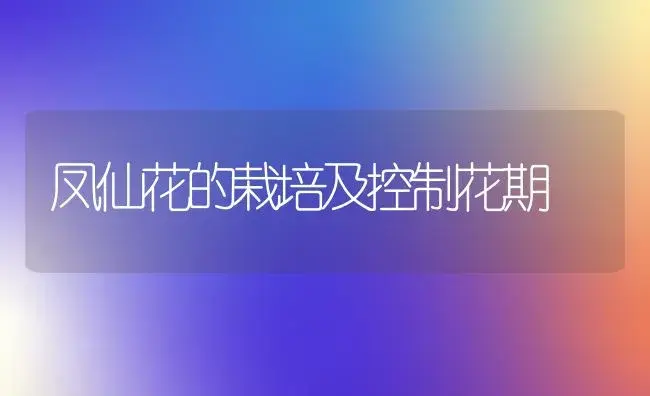 凤仙花的栽培及控制花期 | 植物知识
