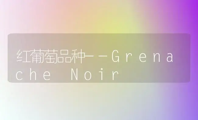 红葡萄品种--Grenache Noir | 植物科普