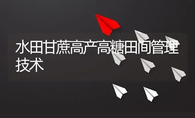 水田甘蔗高产高糖田间管理技术 | 植物资料