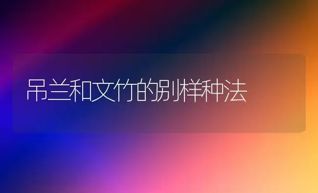 吊兰和文竹的别样种法 | 植物知识
