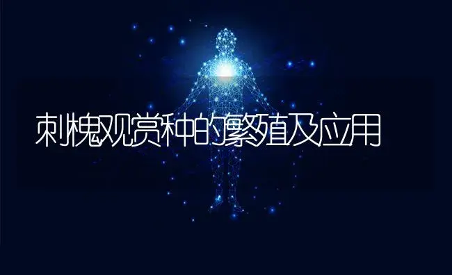 刺槐观赏种的繁殖及应用 | 植物科普