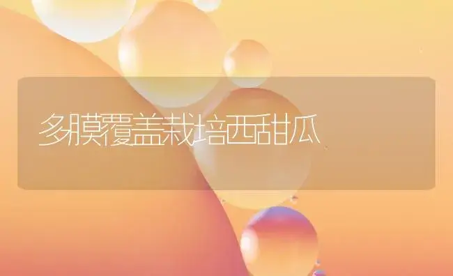 多膜覆盖栽培西甜瓜 | 植物百科
