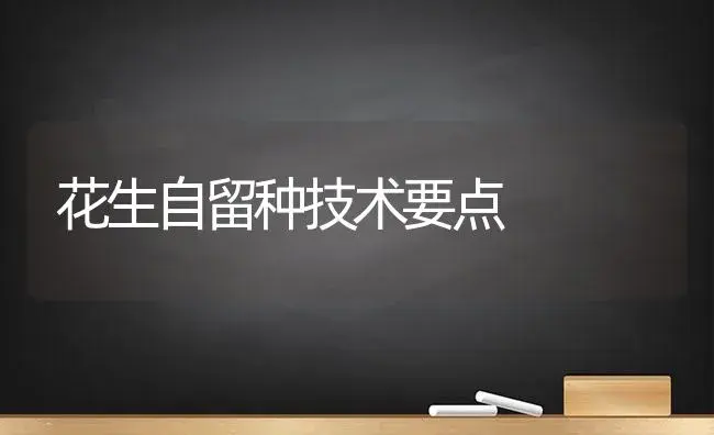 花生自留种技术要点 | 植物科普