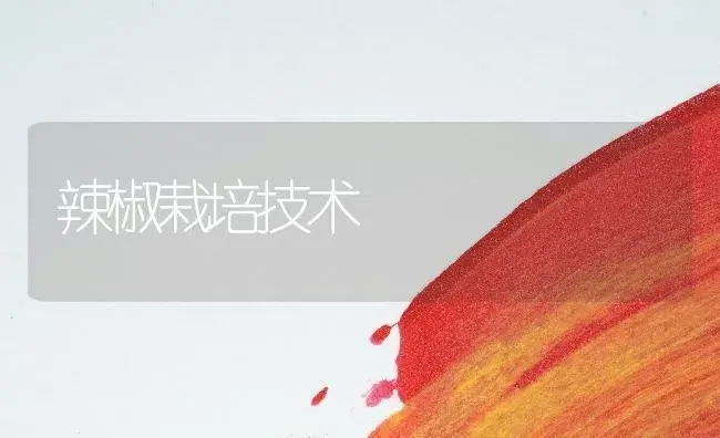 辣椒栽培技术 | 植物百科